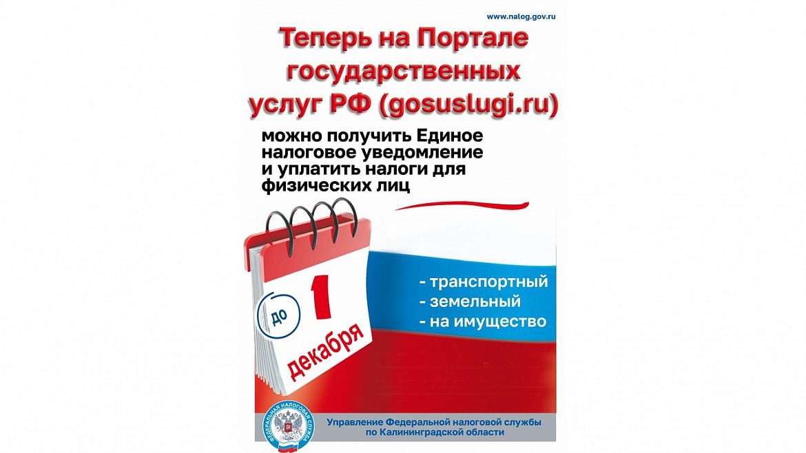 Единое налоговое уведомление