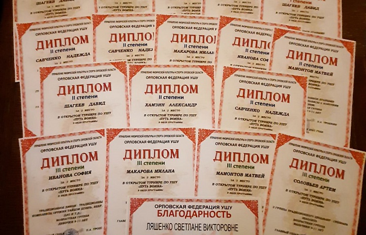 Соревнования по ушу "Путь воина"